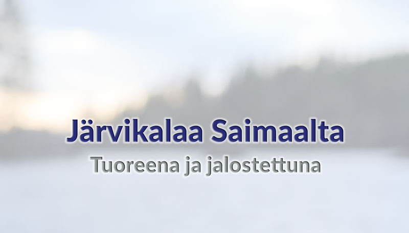 Kalakontti Puumala | Järvikalaa Saimaalta